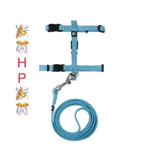 🎉🎊HP🎉🎊 🆕 Vibrant Life Teal Harness & Leash Combo.